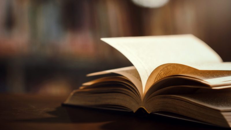 Licenciatura en Derecho en línea